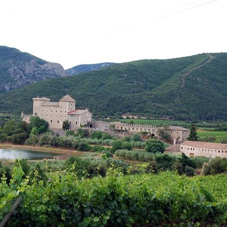 Castell De Riudabella Vimbodi I Poblet Exterior foto