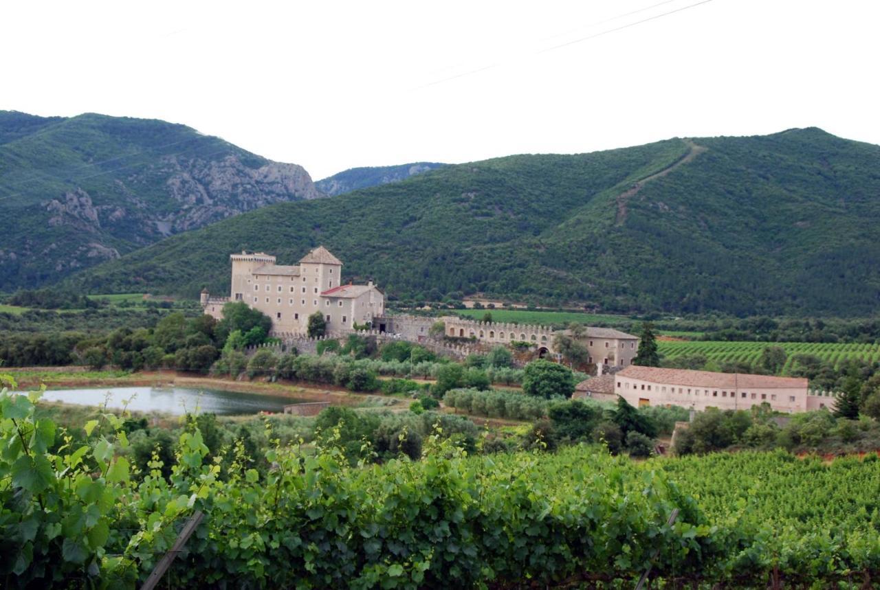 Castell De Riudabella Vimbodi I Poblet Exterior foto