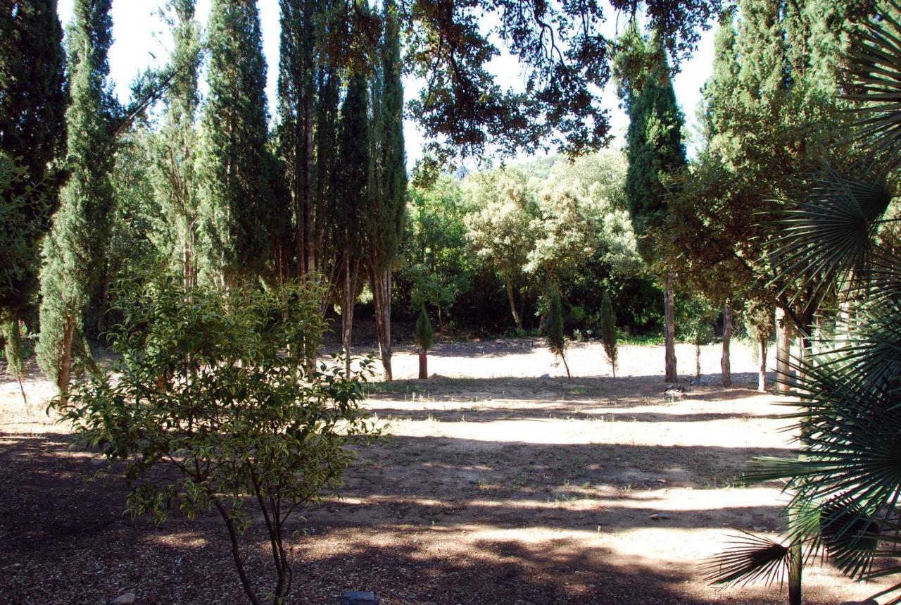Castell De Riudabella Vimbodi I Poblet Exterior foto