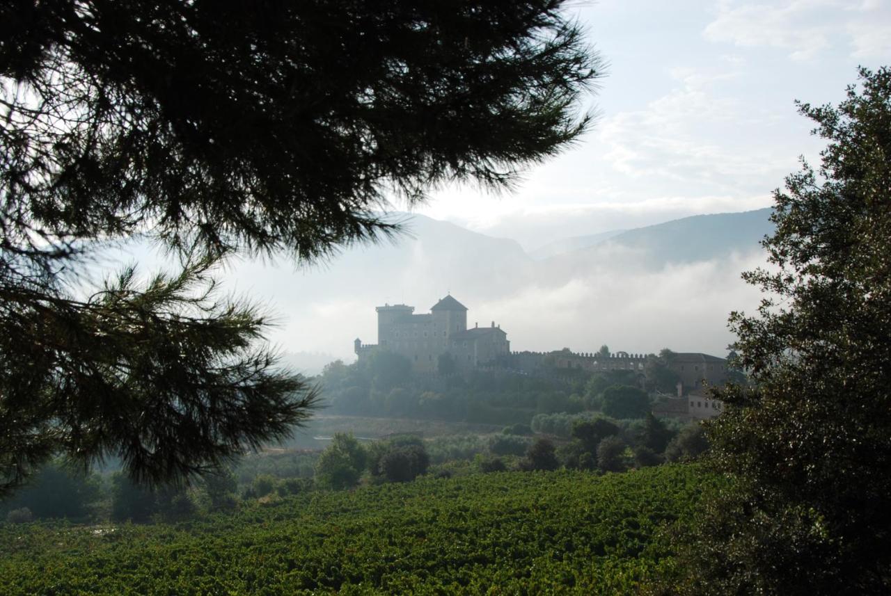 Castell De Riudabella Vimbodi I Poblet Exterior foto