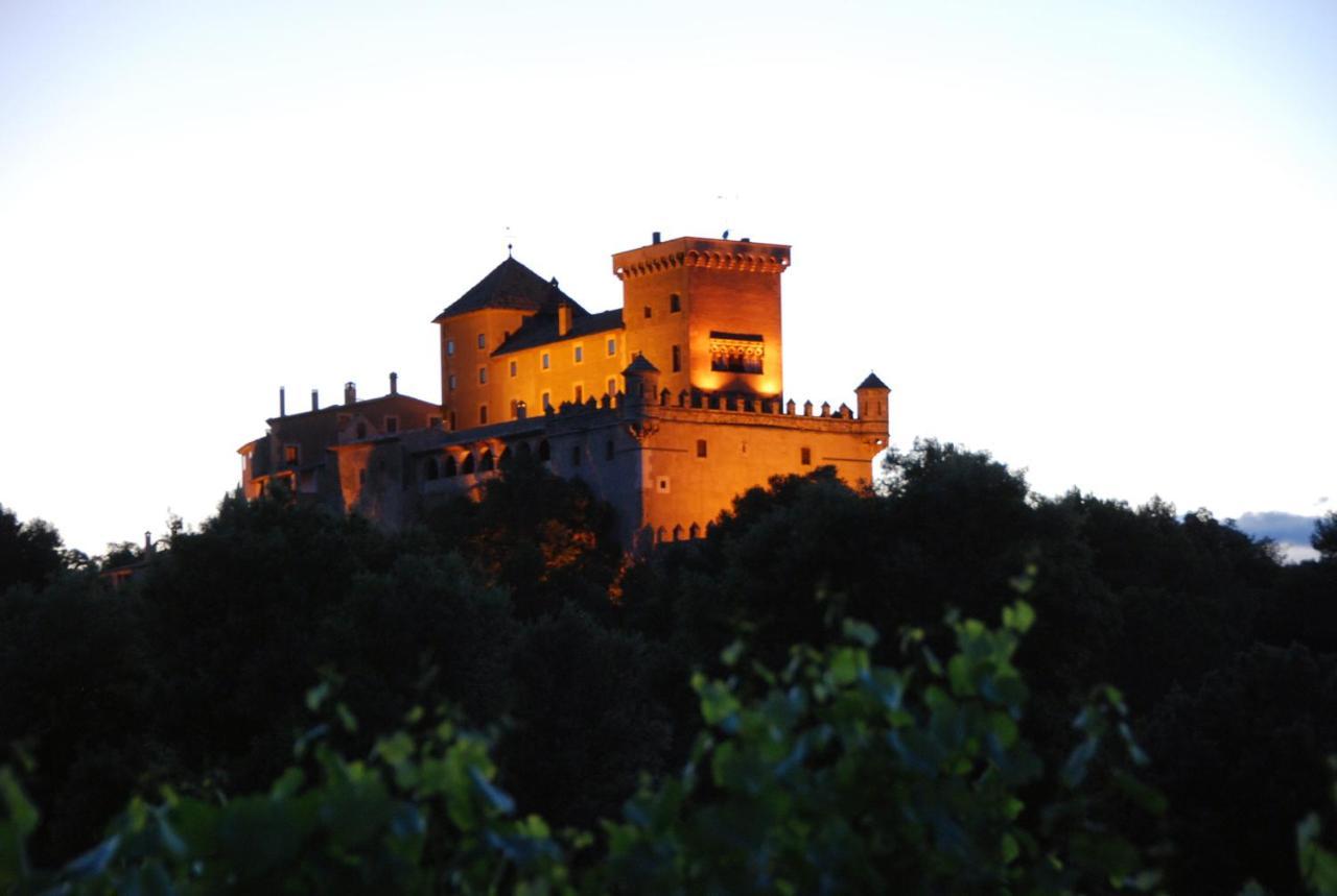 Castell De Riudabella Vimbodi I Poblet Exterior foto