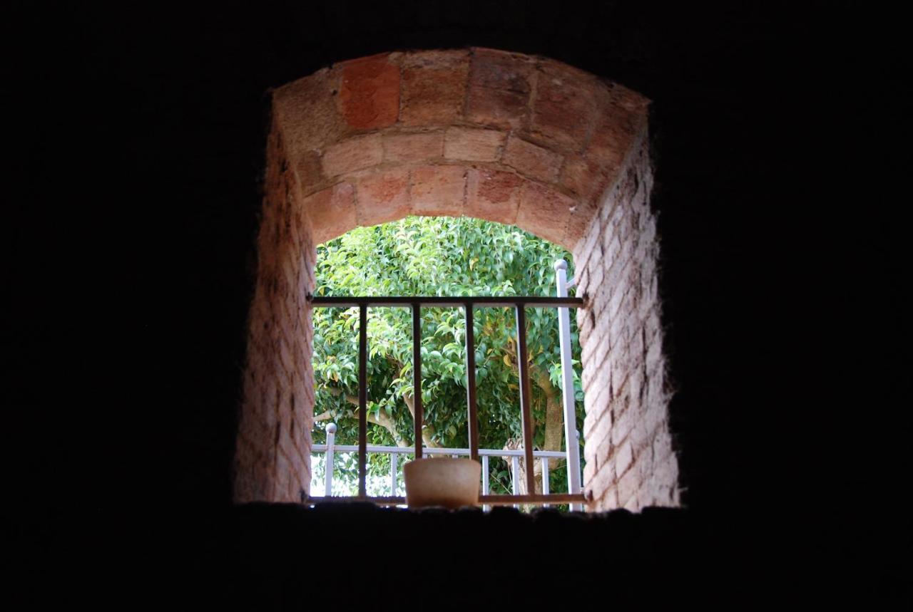 Castell De Riudabella Vimbodi I Poblet Exterior foto
