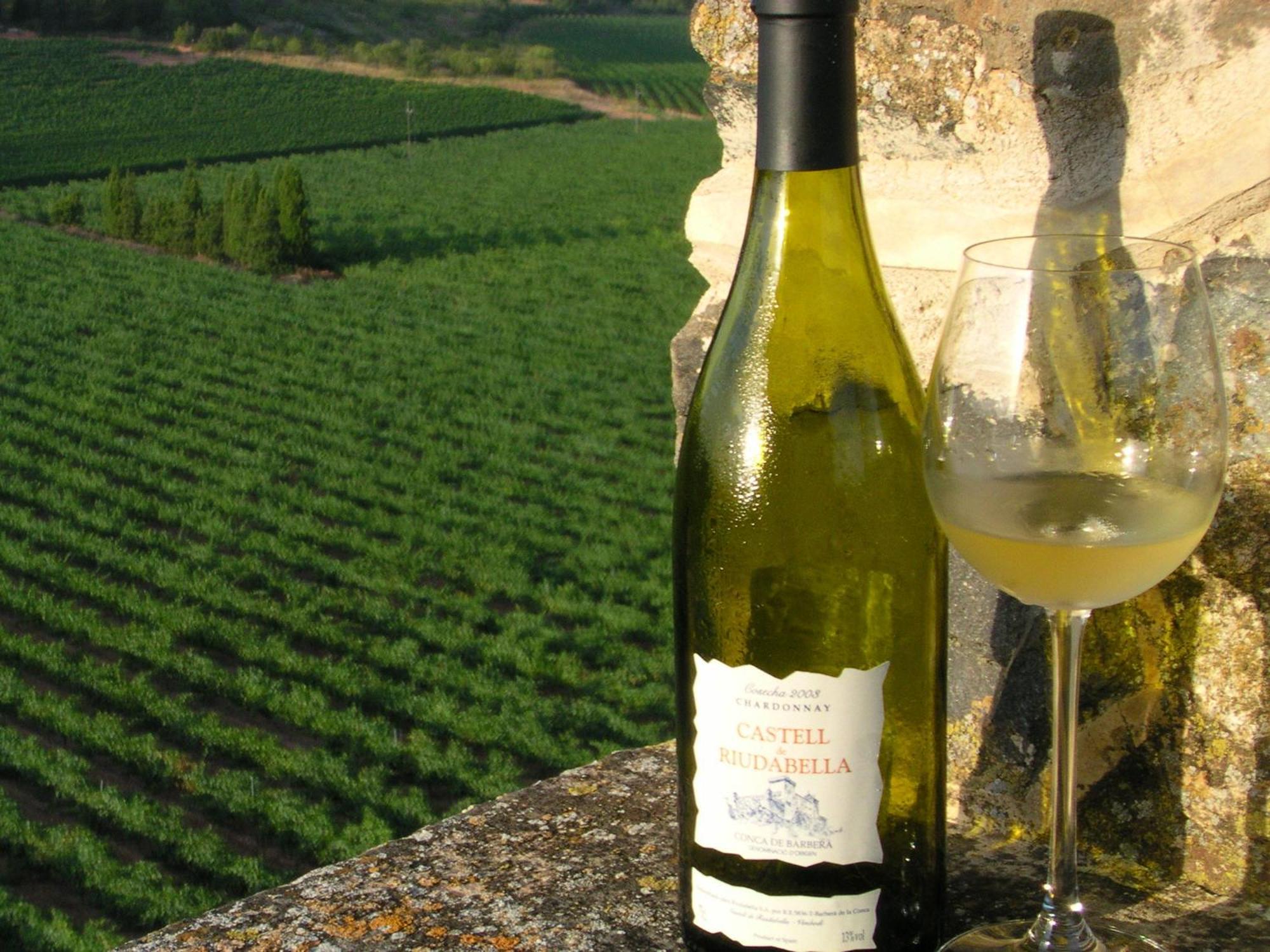 Castell De Riudabella Vimbodi I Poblet Exterior foto