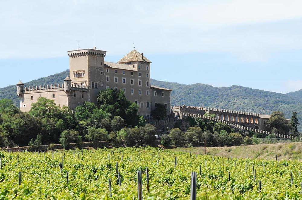 Castell De Riudabella Vimbodi I Poblet Exterior foto