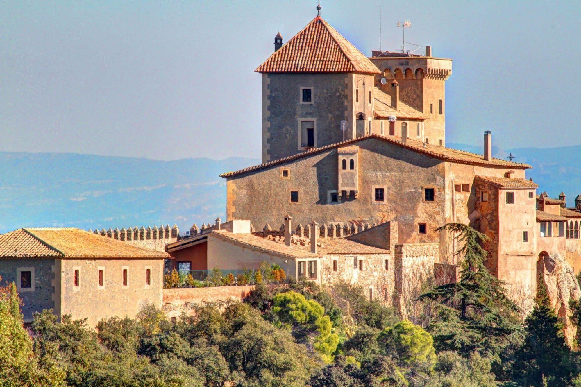 Castell De Riudabella Vimbodi I Poblet Exterior foto